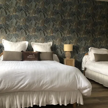 La Des Chapitres En Champagne דירה