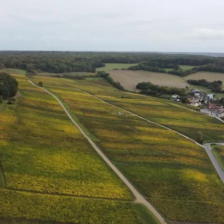 Apartamento La Des Chapitres En Champagne