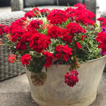 דירה La Des Chapitres En Champagne *